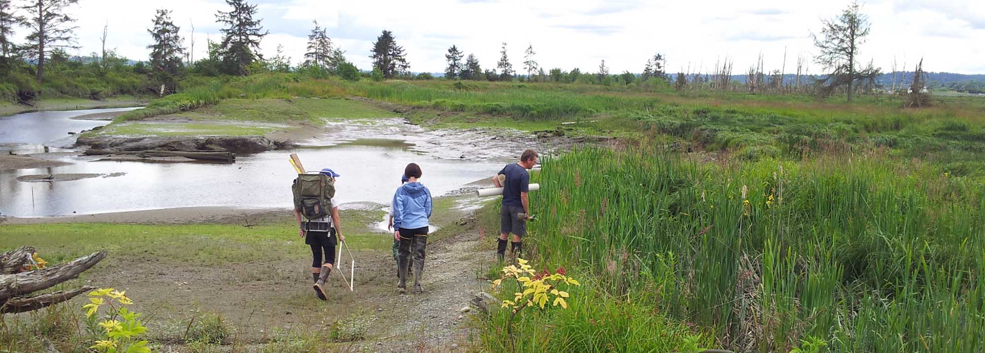 Four people carry survey equipment into a marsh