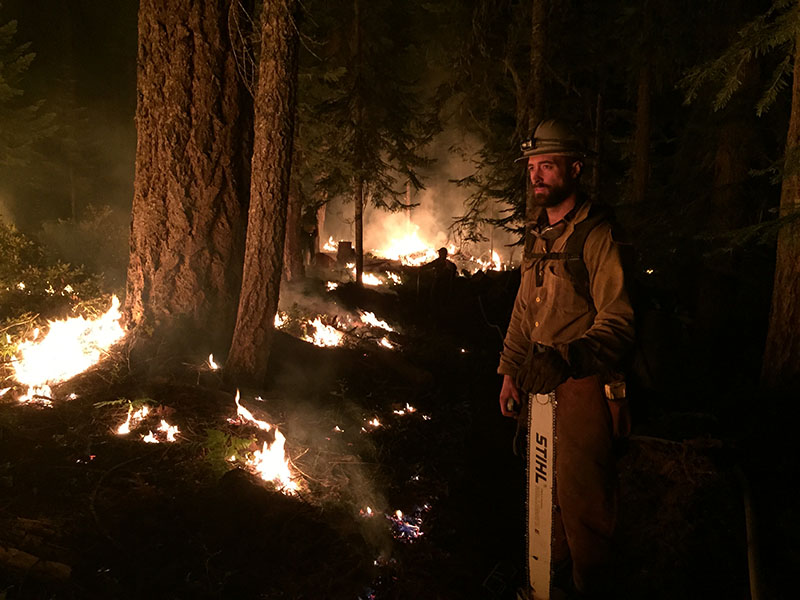 firefighter surrounded by flames on a forest floor